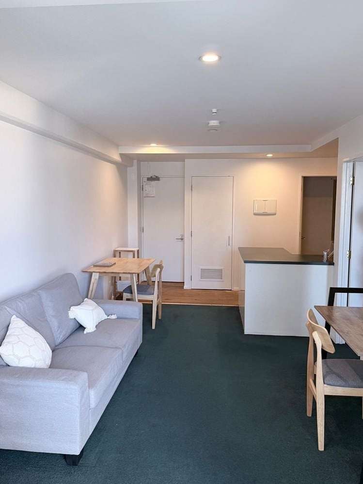 250 Richmond Road Grey Lynn_0