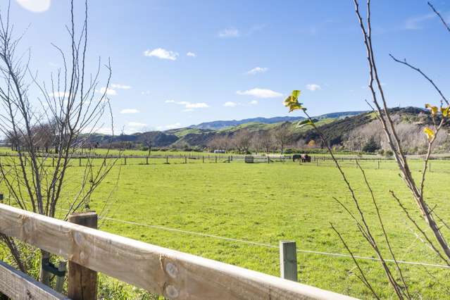 19 River Road Ashhurst_4
