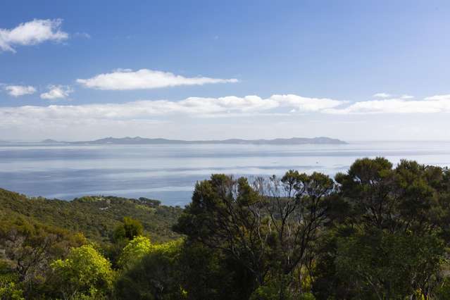 LOT 2 303 Waiaua Road Hihi_3
