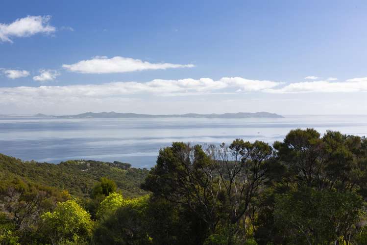 LOT 2 303 Waiaua Road Hihi_3