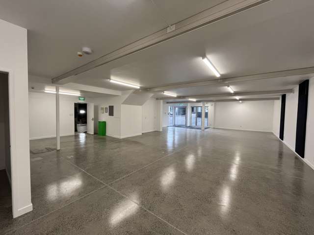 25 Minnie Street Eden Terrace_3