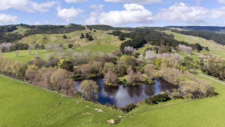534 - 734 Fitzherbert Road East Aokautere_20