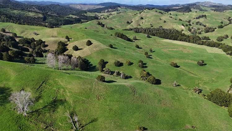 30C Te Ranga Road Kaeo_13