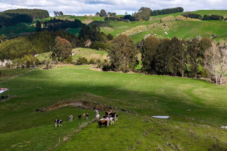 534 Kaahu Road Mangakino_11