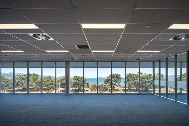 81 The Esplanade Petone_3