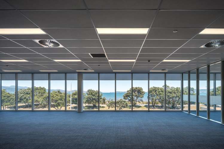 81 The Esplanade Petone_3