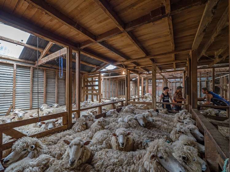 1068 Hinemoa Valley Road Pahiatua_23