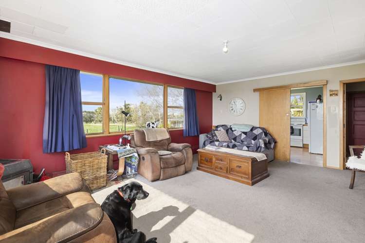 675 Black Bridge Road Clutha_25