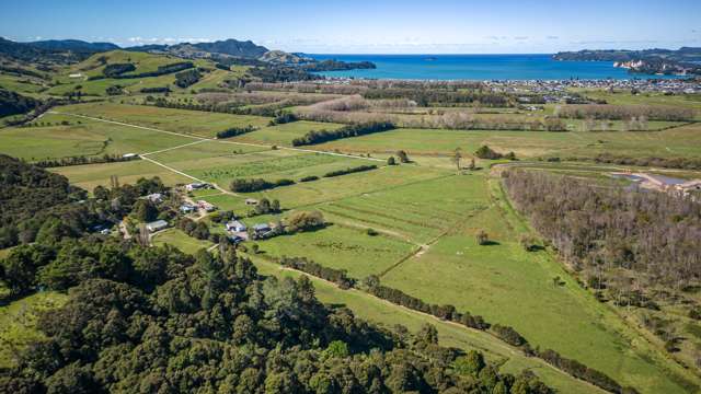 Whitianga industrial development land for sale