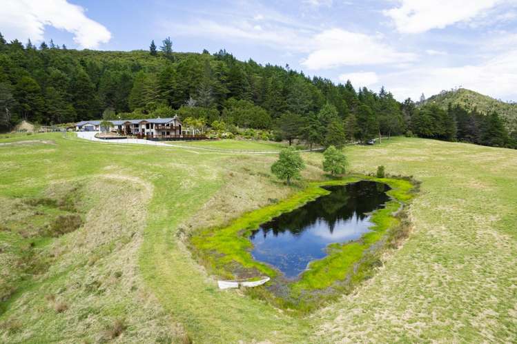 562 Waimata Valley Road Waimata_18