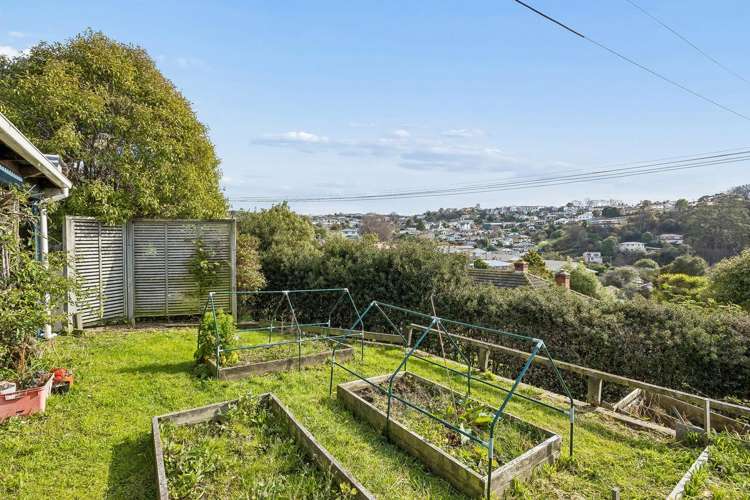 28 Carson Street Mornington_19