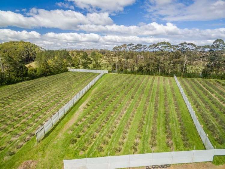 145a Waimate North Road Kerikeri_5