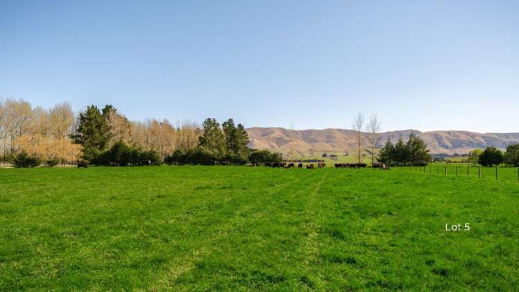 141 Nixons Road Fairlie_9