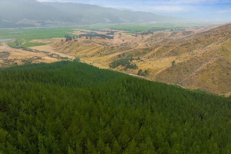 State Highway 63 Renwick_0