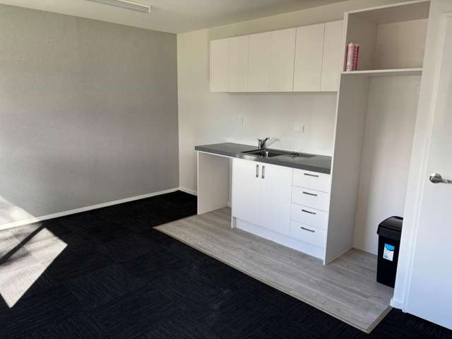 5 Bush Street Levin_3