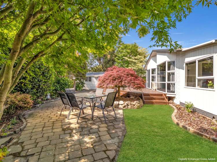 81 College Road Edgecumbe_28