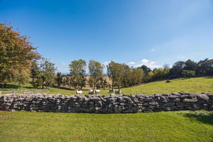 376 Awamoa Road Oamaru_22