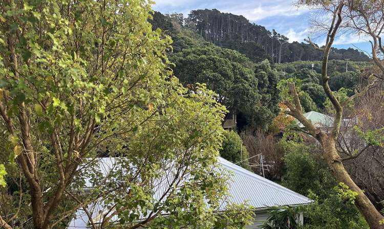 154 Hanson Street Newtown_7