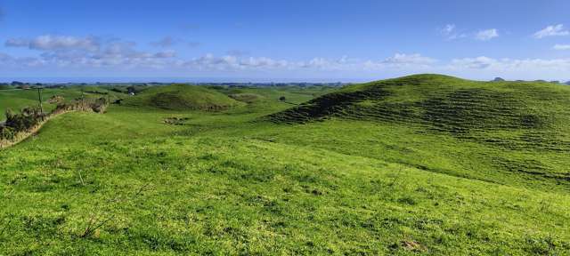 Parihaka Road Pungarehu_3