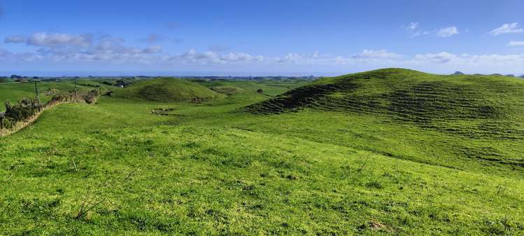 Parihaka Road Pungarehu_3