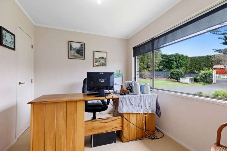 Old Highway Whakamarama_13