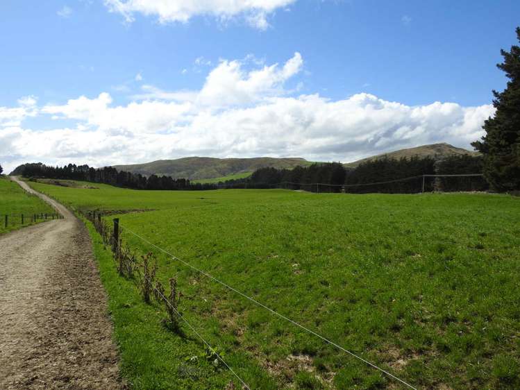 972 Slopedown Road Catlins Surrounds_19
