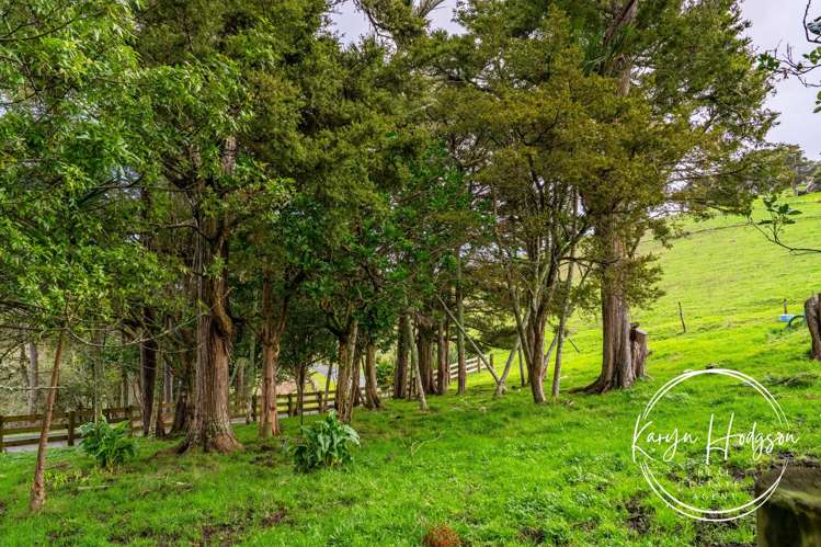 55 Puriri Glade Maungaturoto_25