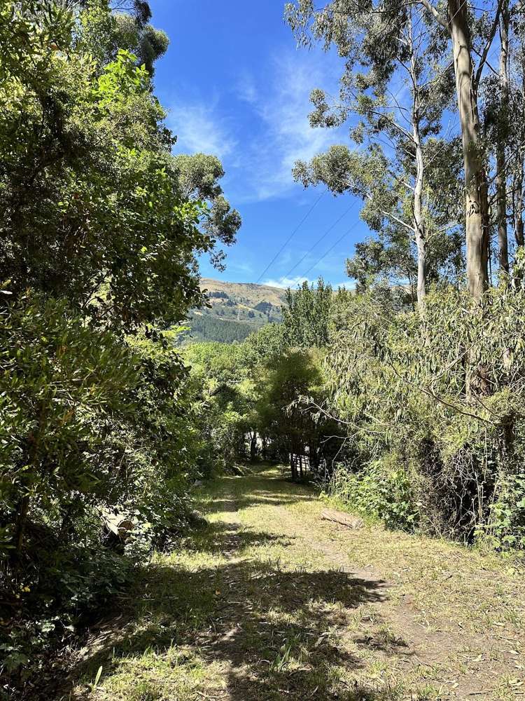 13 Okuti Valley Road Little River_11