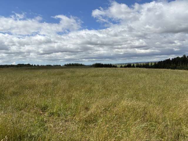 Opihi School Road Pleasant Point_3