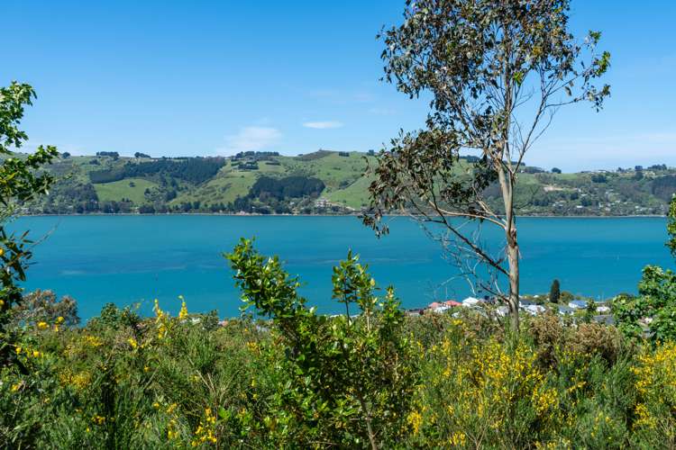 74 Kauri Street Ravensbourne_17