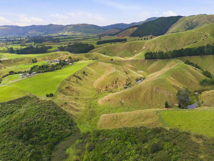 100 Heights Road Shannon_14