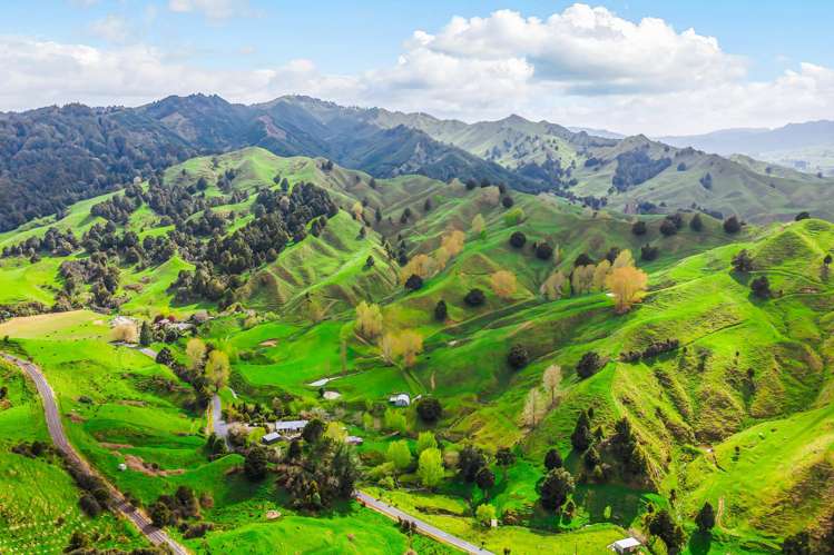 162 Okahukura Saddle Road Matiere_24