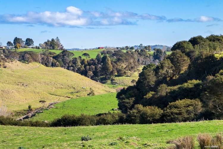 46 Otuiti Road Pukekawa_13