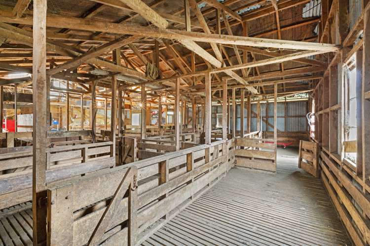 134 Millard Road Maihiihi_12