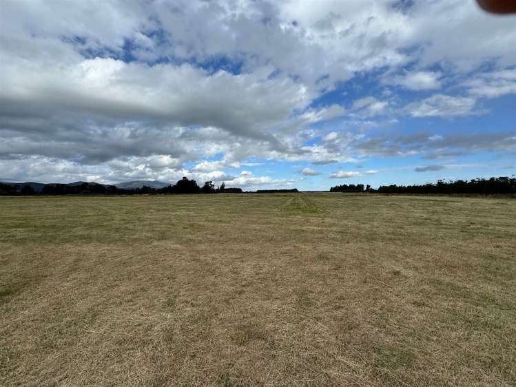 393 Kowai Road Springfield_5