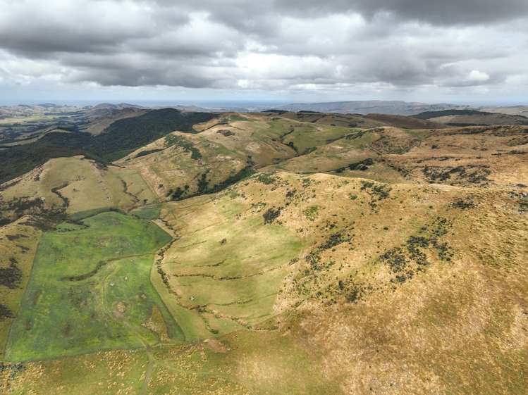 1320 Hunt Road Catlins Surrounds_5