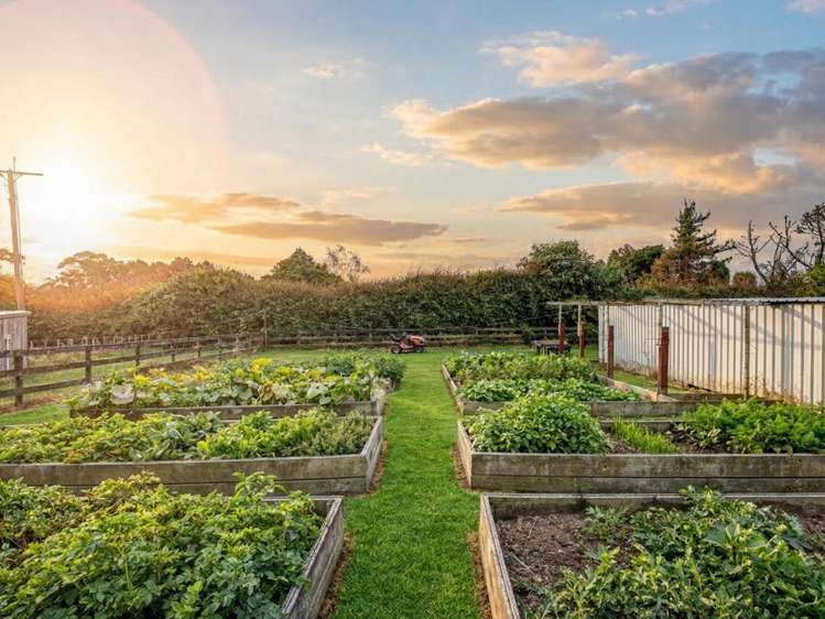 1/3116 Ohaupo Road Glenview_4