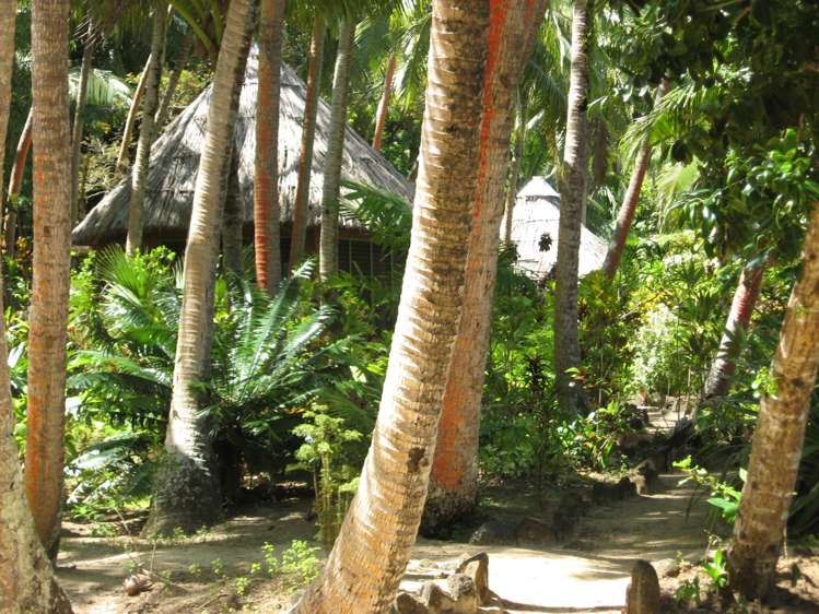 Lot 1 Gau Island, Lomaiviti Group, Outer Islands_46