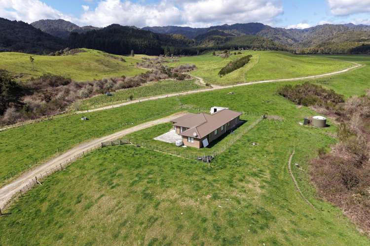 283 Minginui Road Galatea_49