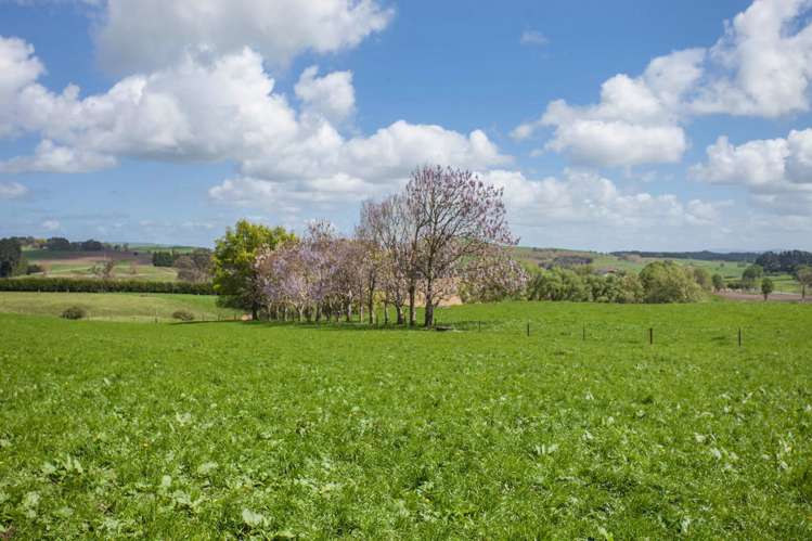 80 Paratu Road Richmond Downs_13