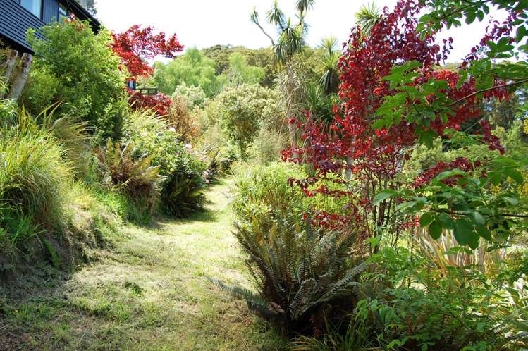 14 Tui Terrace Waipori Falls_14