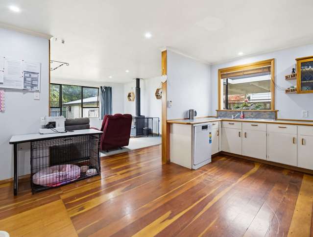 17 Neptune Street Dannevirke_3