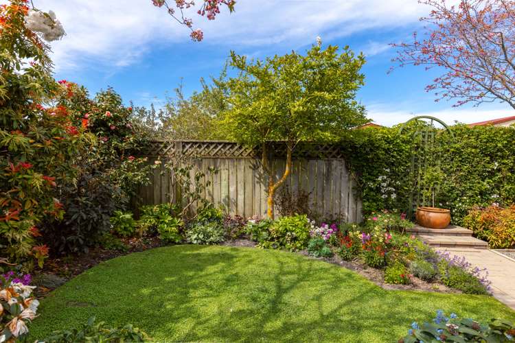 10a Brook Street Springlands_13