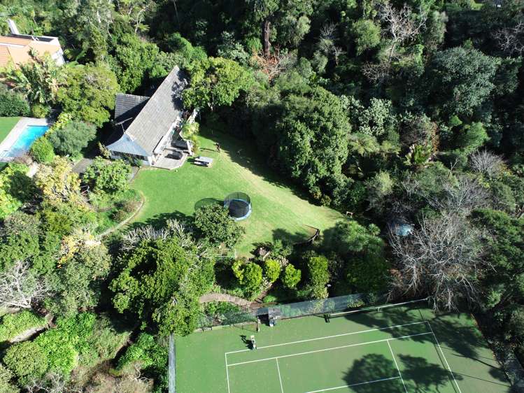 25 Glen Atkinson Street Saint Heliers_17