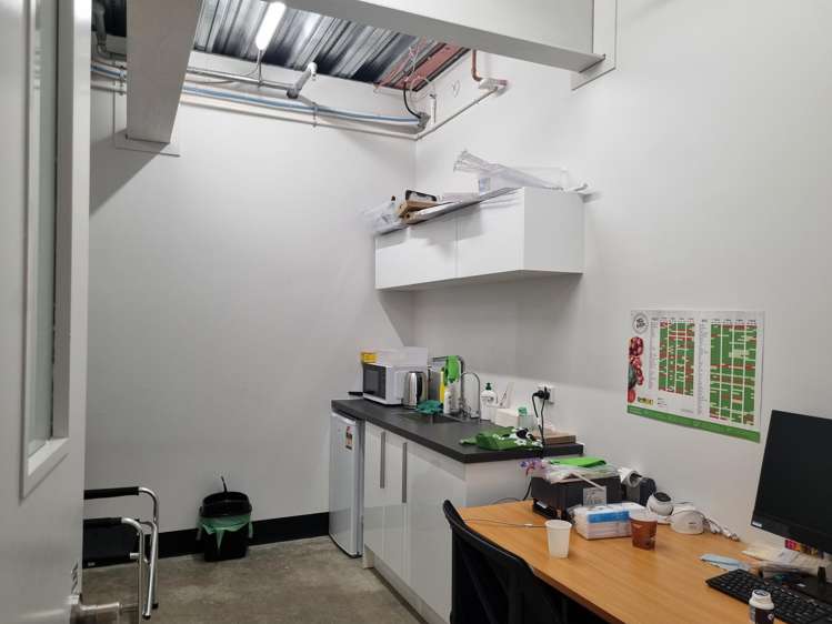 161 Victoria Street Te Aro_9