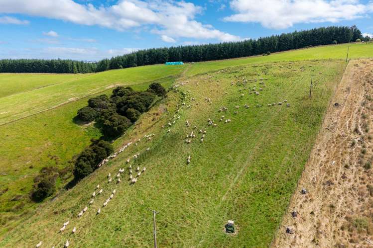 00 Blue Spur Road, Gabriels Gully Lawrence_24