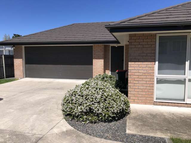 36A Karaka Street 1112_2