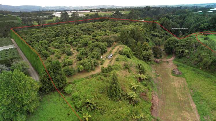 400 Te Matai Road Te Puke_5