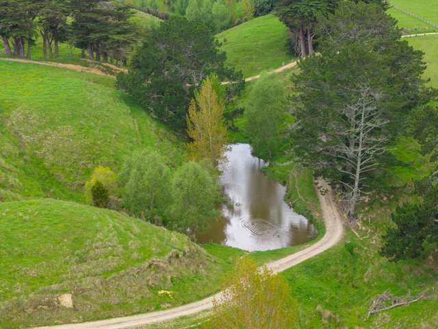 158 Pahiatua Aokautere Road Aokautere_2