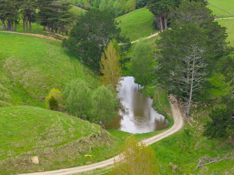 158 Pahiatua Aokautere Road_2